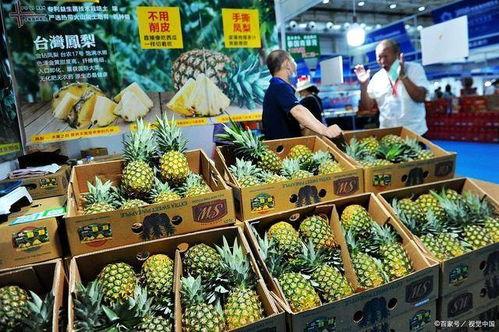 凤梨爆料视频大全最新版本,最新版本精彩内容大盘点